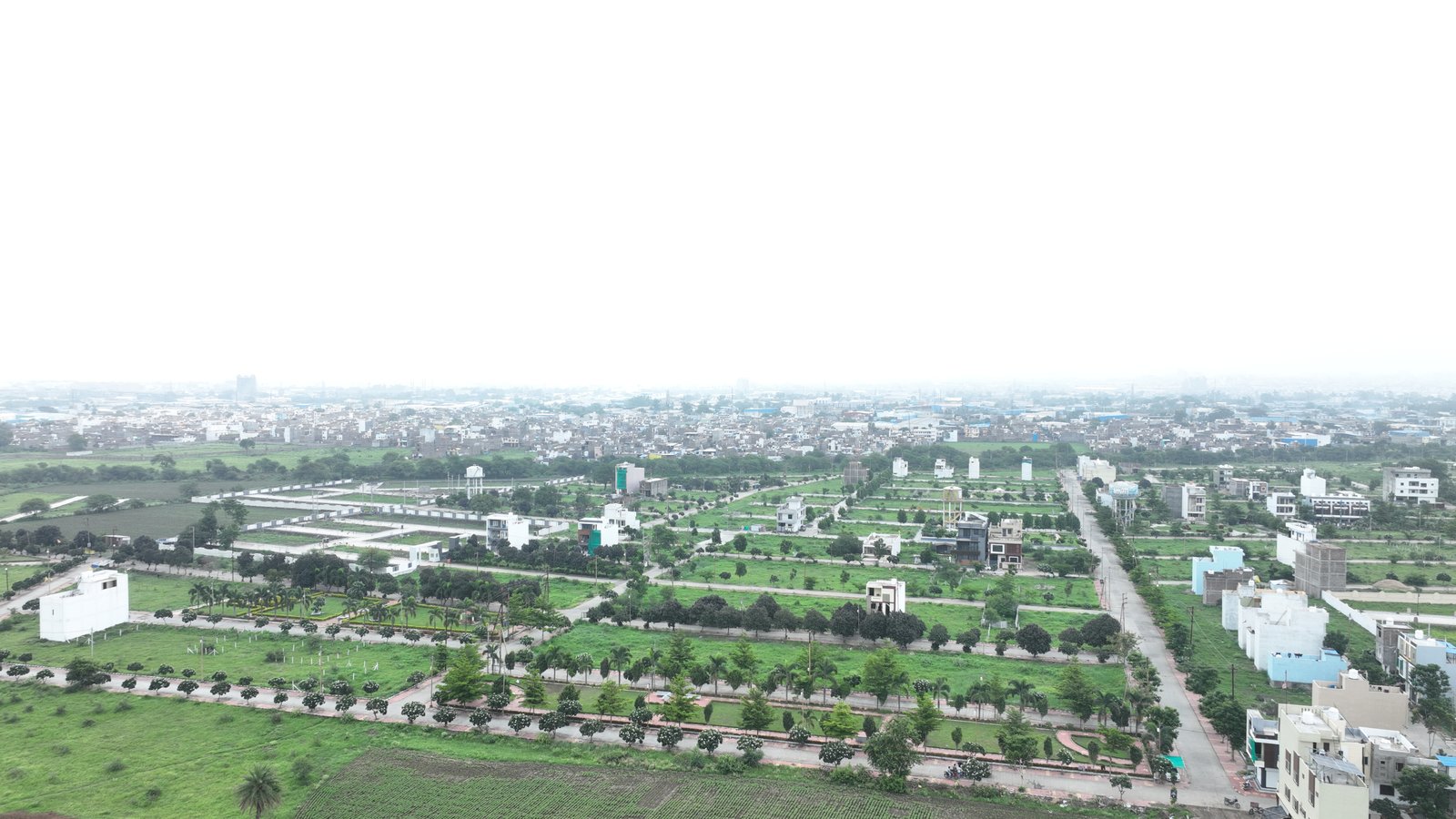 House front with trees surrounding 